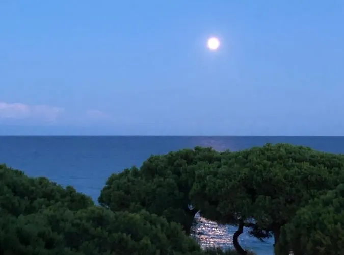 Apartment Direkt Am Blanes